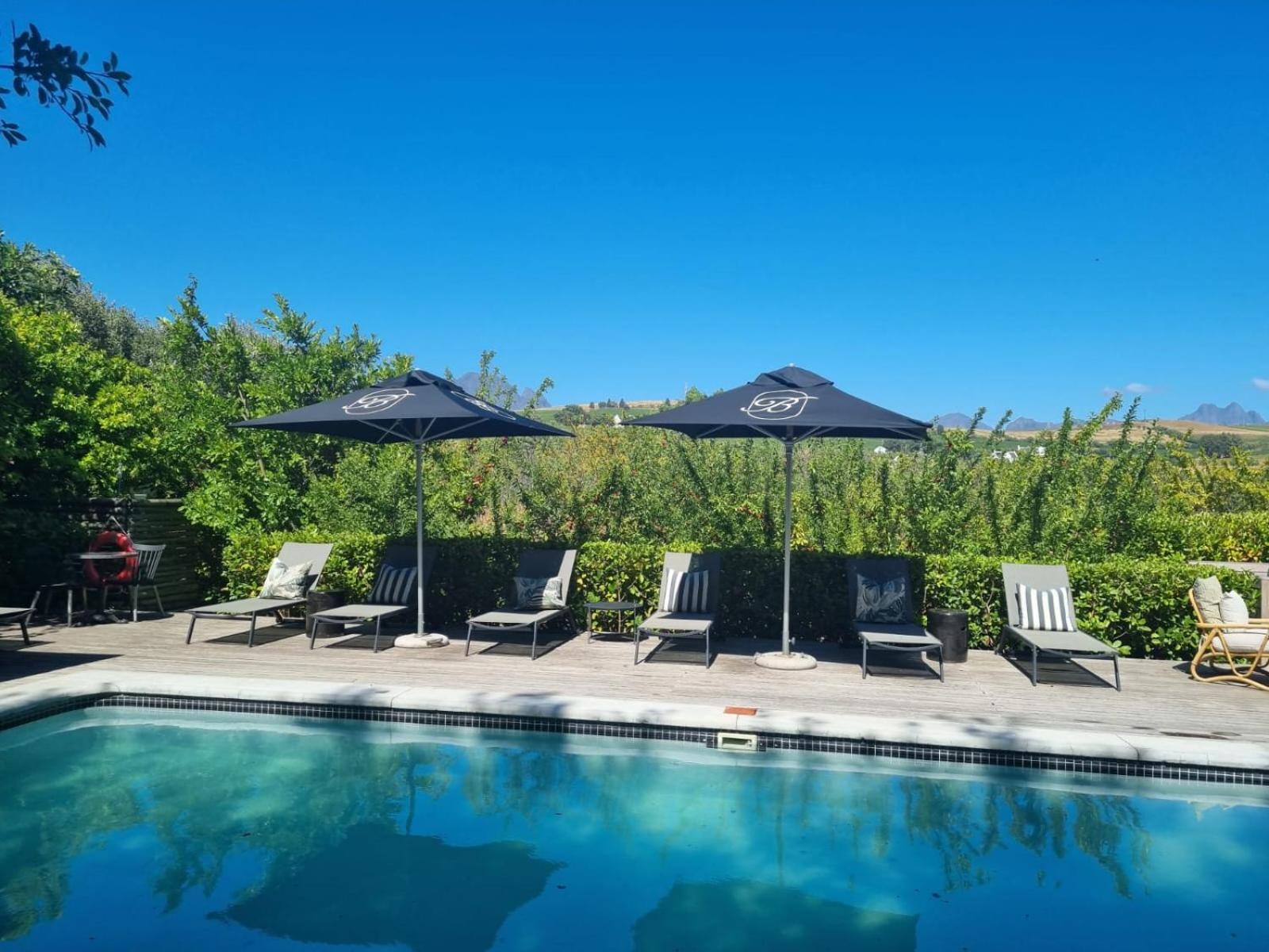 Brenaissance Wine & Stud Estate Hotel Stellenbosch Exterior photo