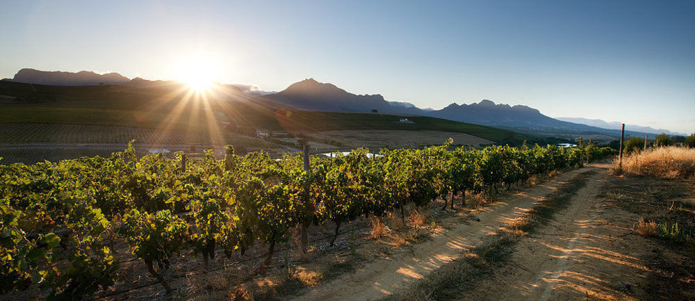 Brenaissance Wine & Stud Estate Hotel Stellenbosch Exterior photo