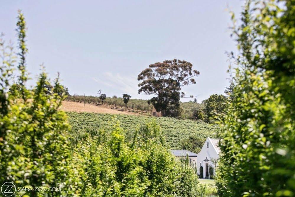 Brenaissance Wine & Stud Estate Hotel Stellenbosch Exterior photo