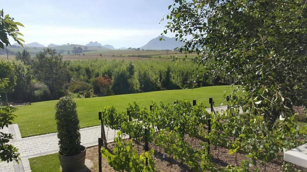 Brenaissance Wine & Stud Estate Hotel Stellenbosch Exterior photo